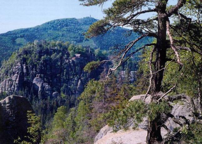 Blick ber den Oybin zum Hochwald