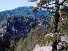 Blick ber den Oybin zum Hochwald