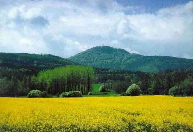 Die Lausche