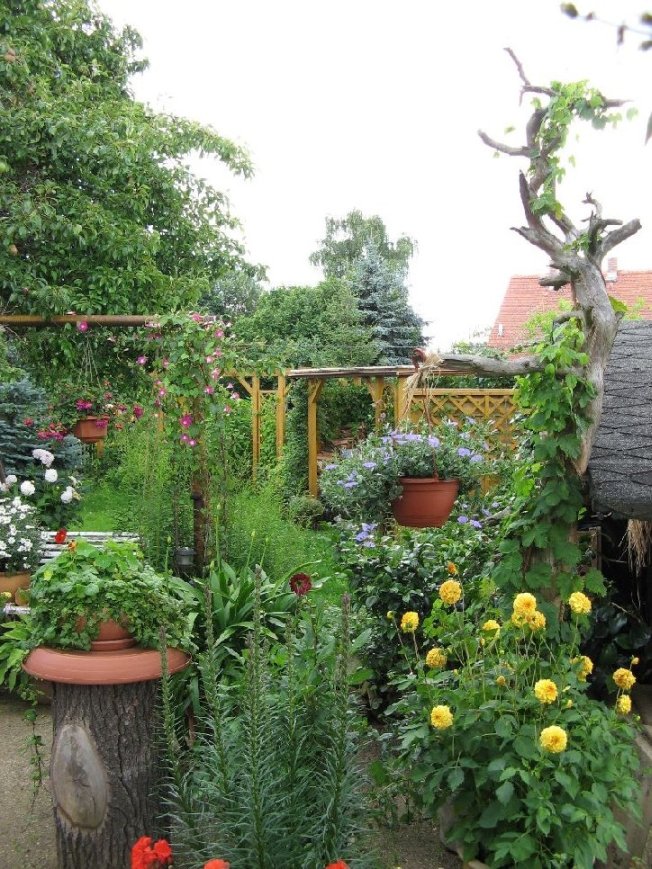 Der Garten hinterm Haus