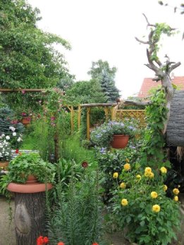 Der Garten hinterm Haus